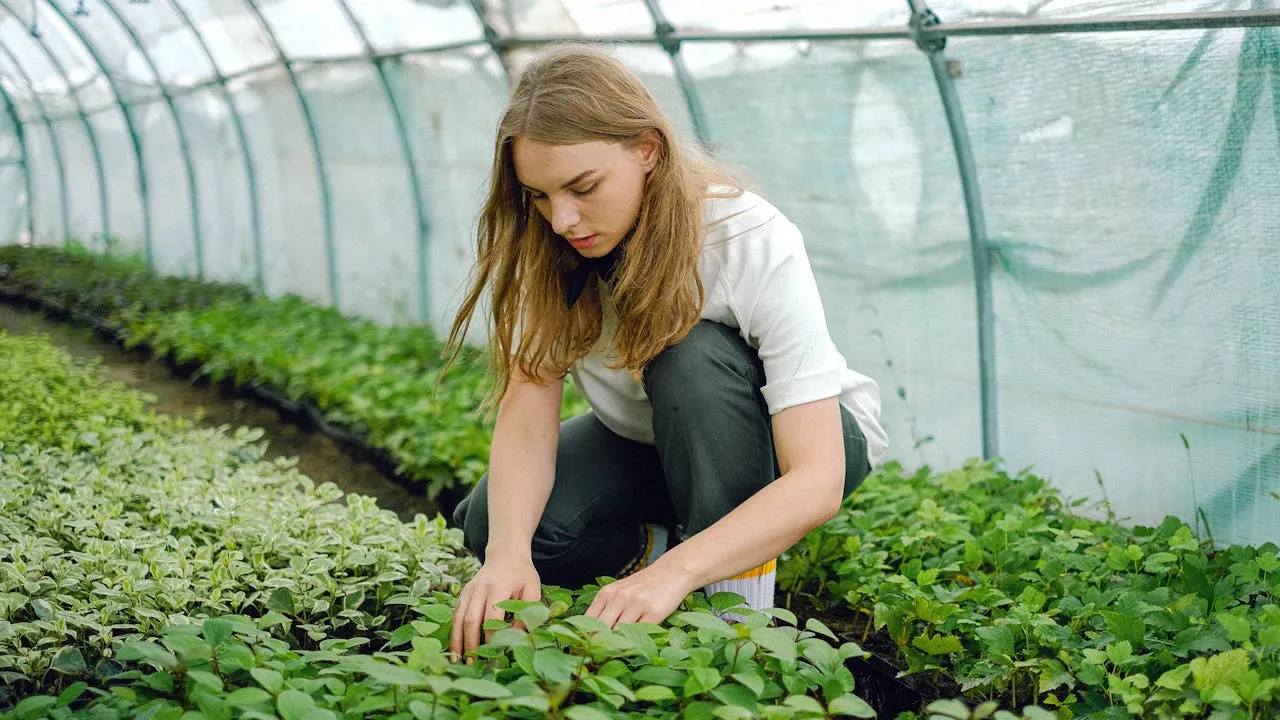 why gardening is good for your health