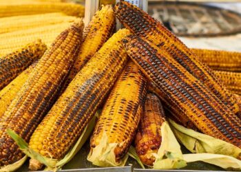 benefits of sweetcorn for children