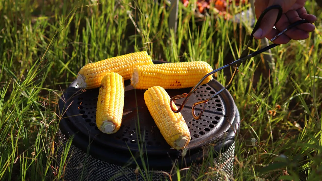 side effects of eating sweet corn during pregnancy