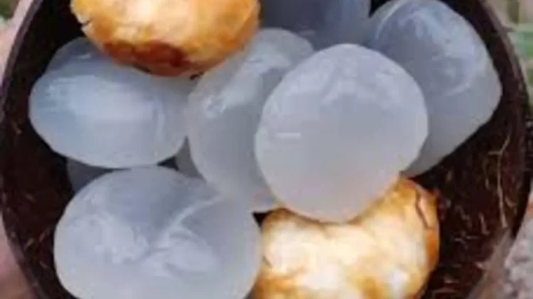 role of ice apple in skin