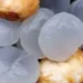 role of ice apple in skin