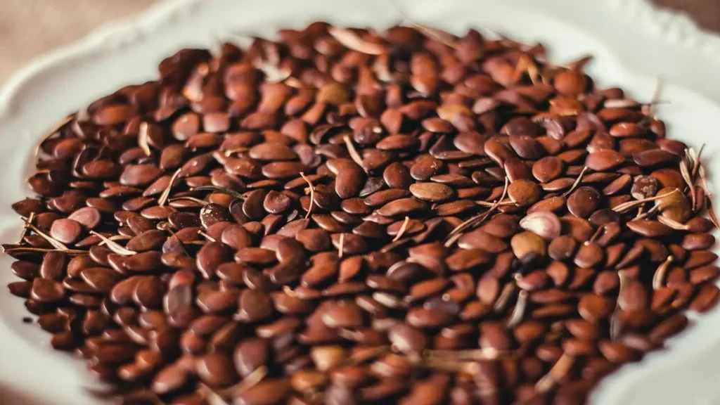 chia seeds vs flax seeds roles