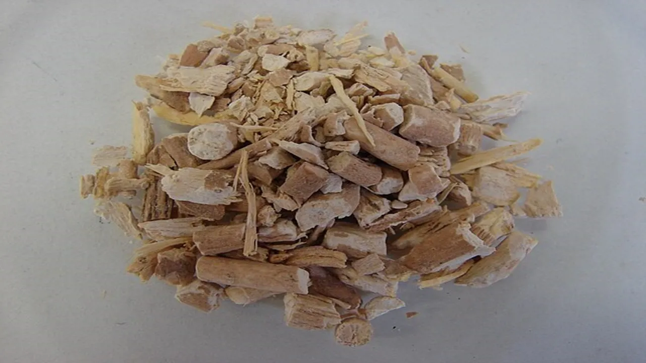 what are the benefits of ashwagandha for women