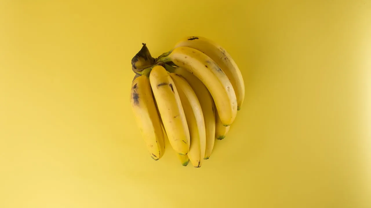 what foods keep you awake during the day