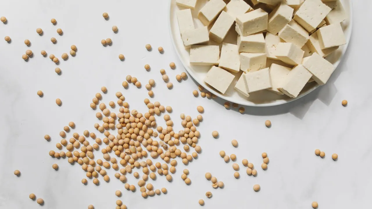 best protein sources for vegans