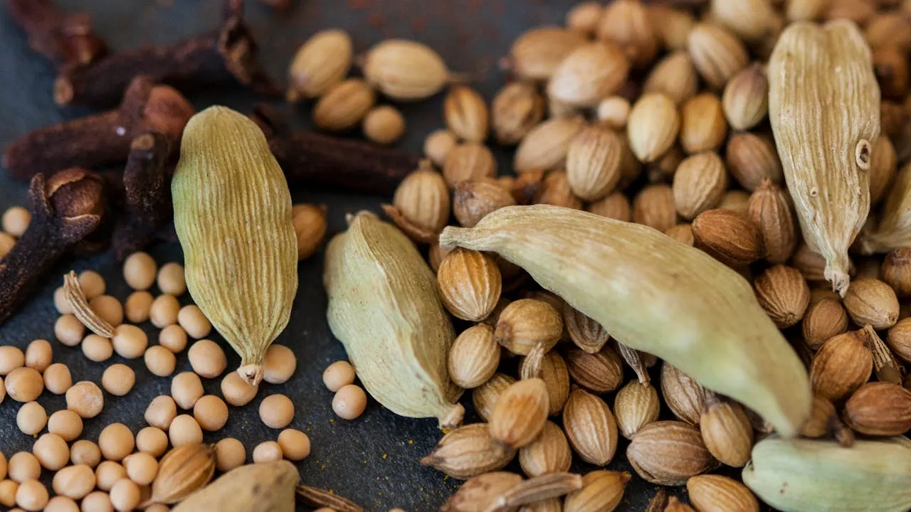 ayurveda digestion tips