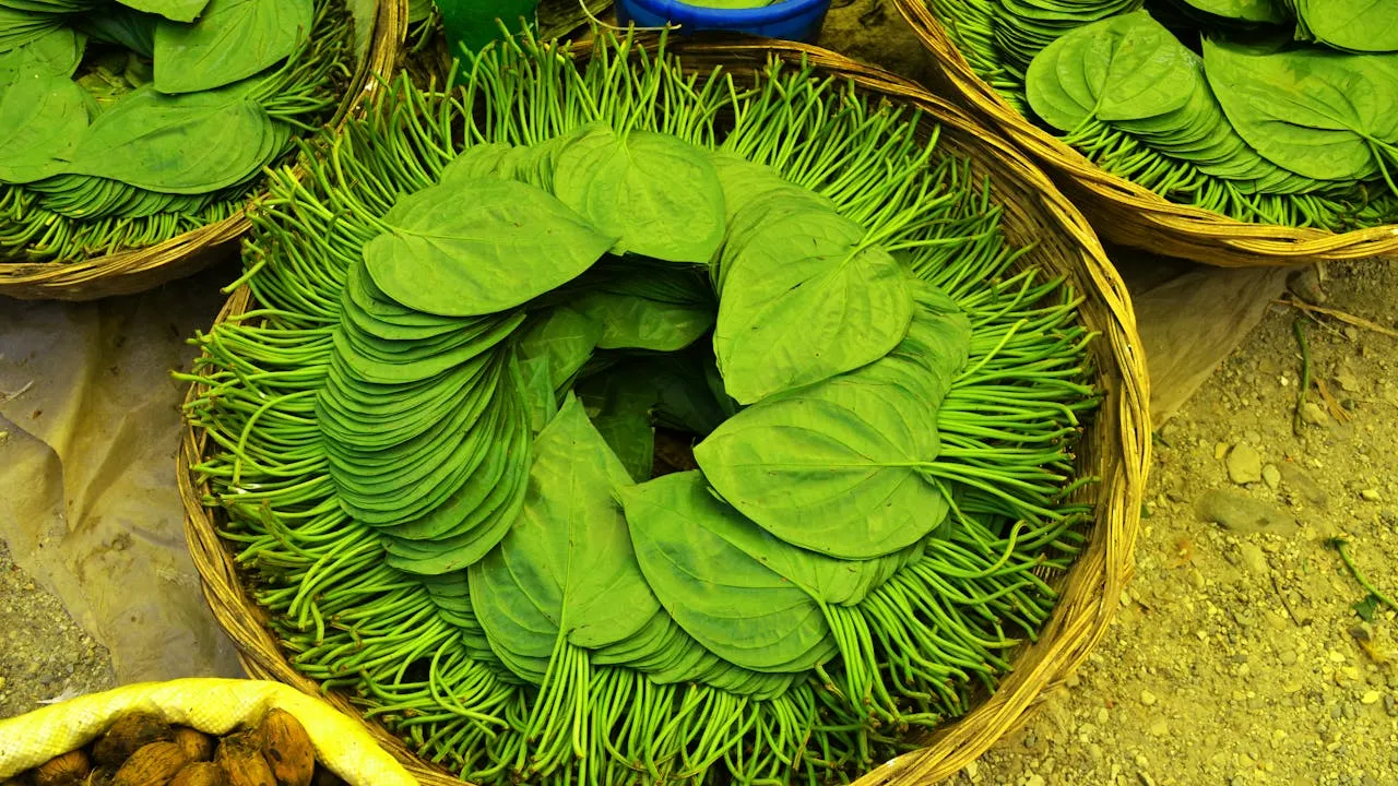 benefits of eating paan at night