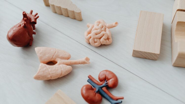 signs of kidney disease in children