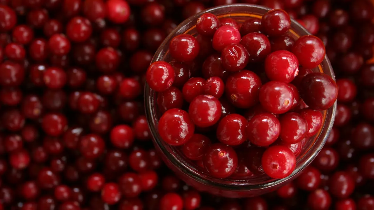 eating sour food can delay menstruation
